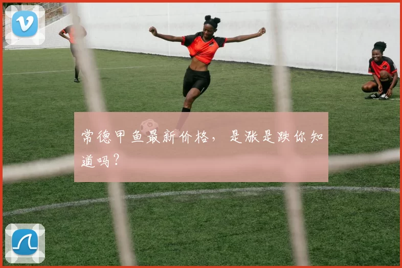 常德甲鱼最新价格，是涨是跌你知道吗？