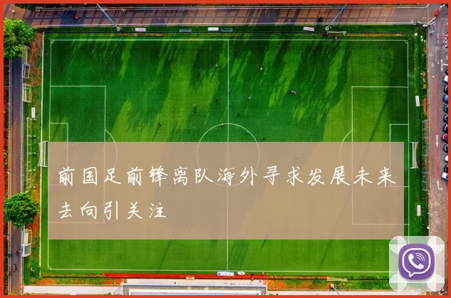 前国足前锋离队海外寻求发展未来去向引关注