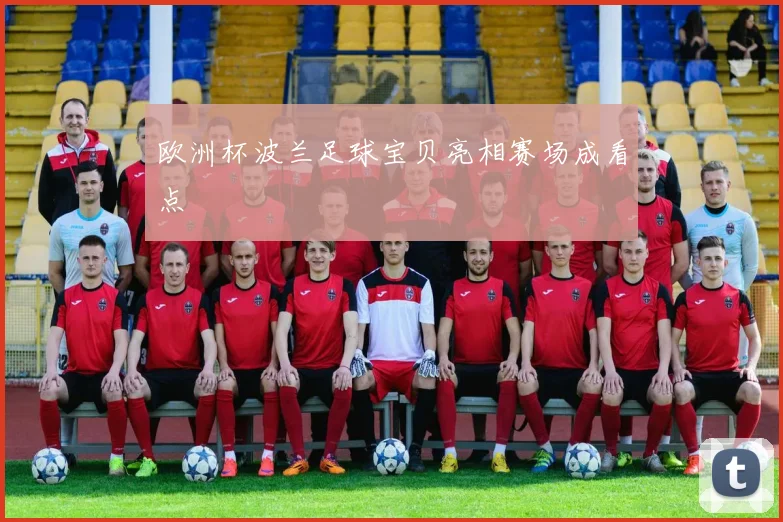 欧洲杯波兰足球宝贝亮相赛场成看点