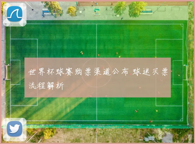世界杯球赛购票渠道公布 球迷买票流程解析